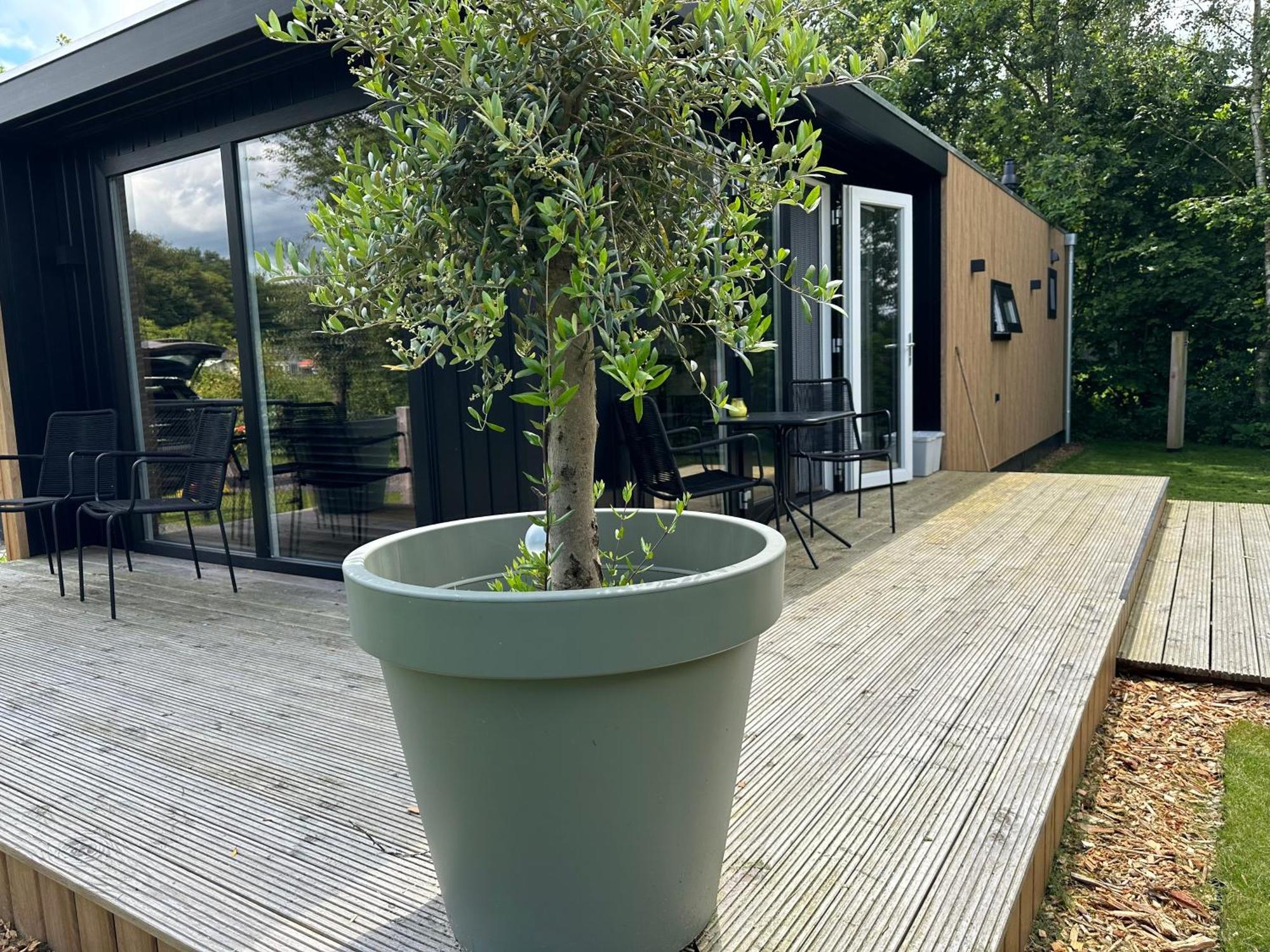 Chalet De Blauwe Regen Balkbrug ภายนอก รูปภาพ